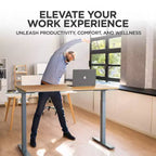 48"x30" Electric Standing Desk with Adjustability ( 27.2"-45.3") Natural Bamboo Gray - Uncaged Ergonomics