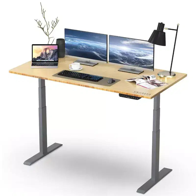 48"x30" Electric Standing Desk with Adjustability ( 27.2"-45.3") Natural Bamboo Gray - Uncaged Ergonomics